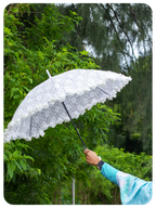 White Lacey Umbrella